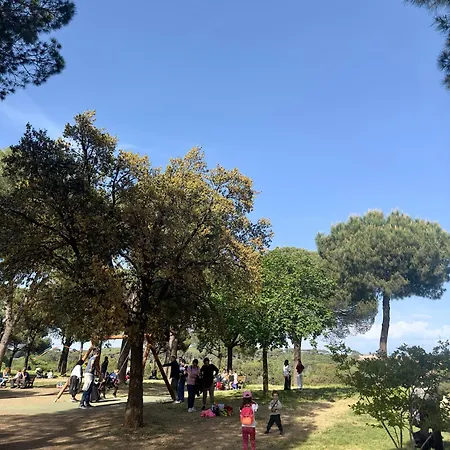 Appartement Olimpia Pamphili - Centro Storico Di - Gianicolo Trastevere San Pietro Rome